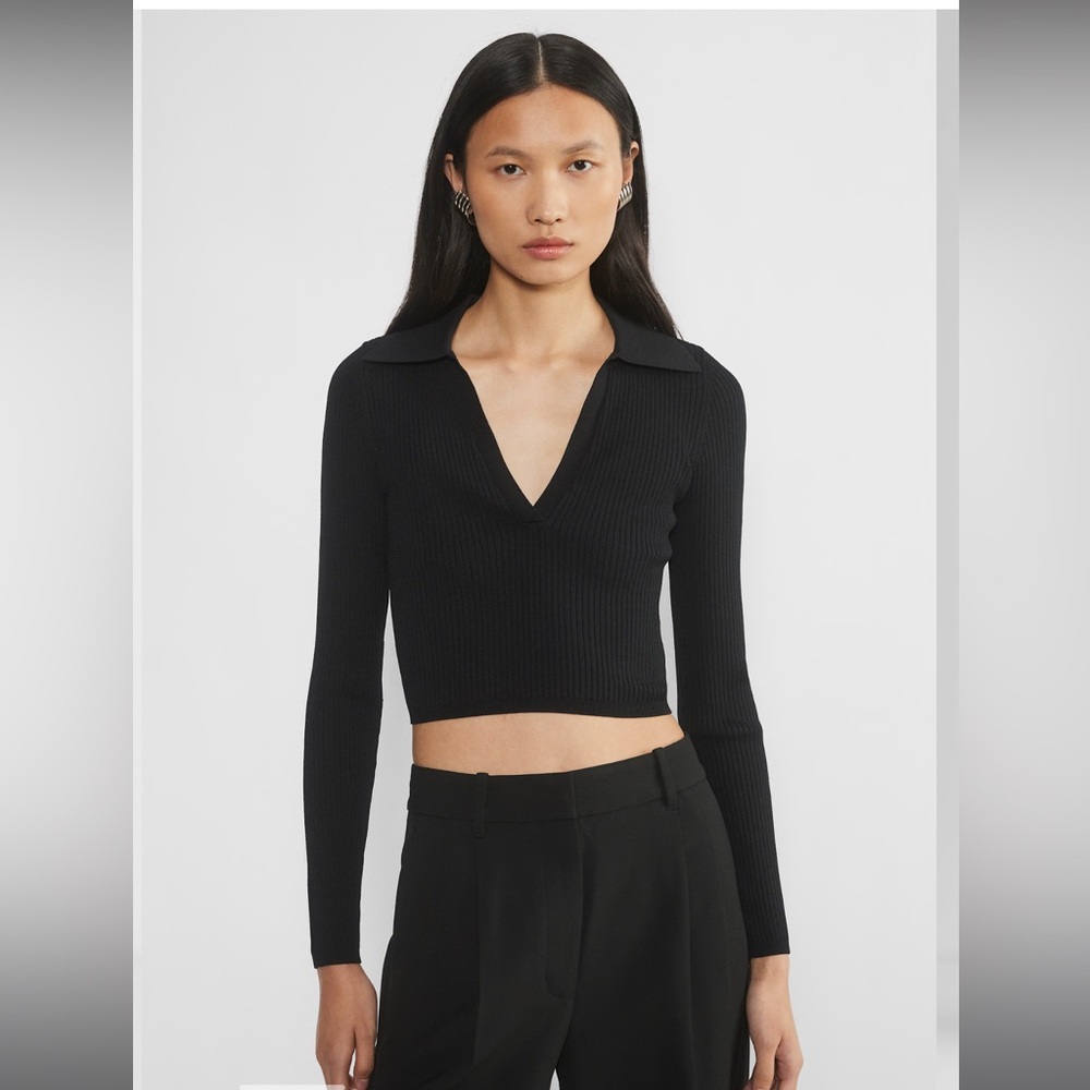Aritzia Babaton Sculpt Knit Polo Long sleeve in black
